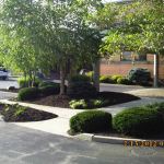 Big C Lawn and Landscaping - Commercial Landscaping, Mulch, Spring Cleanup, 2015 - 109